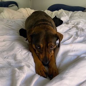 NEW LISTINGS BEING ADDED! SUMMER MOVING SALE!!